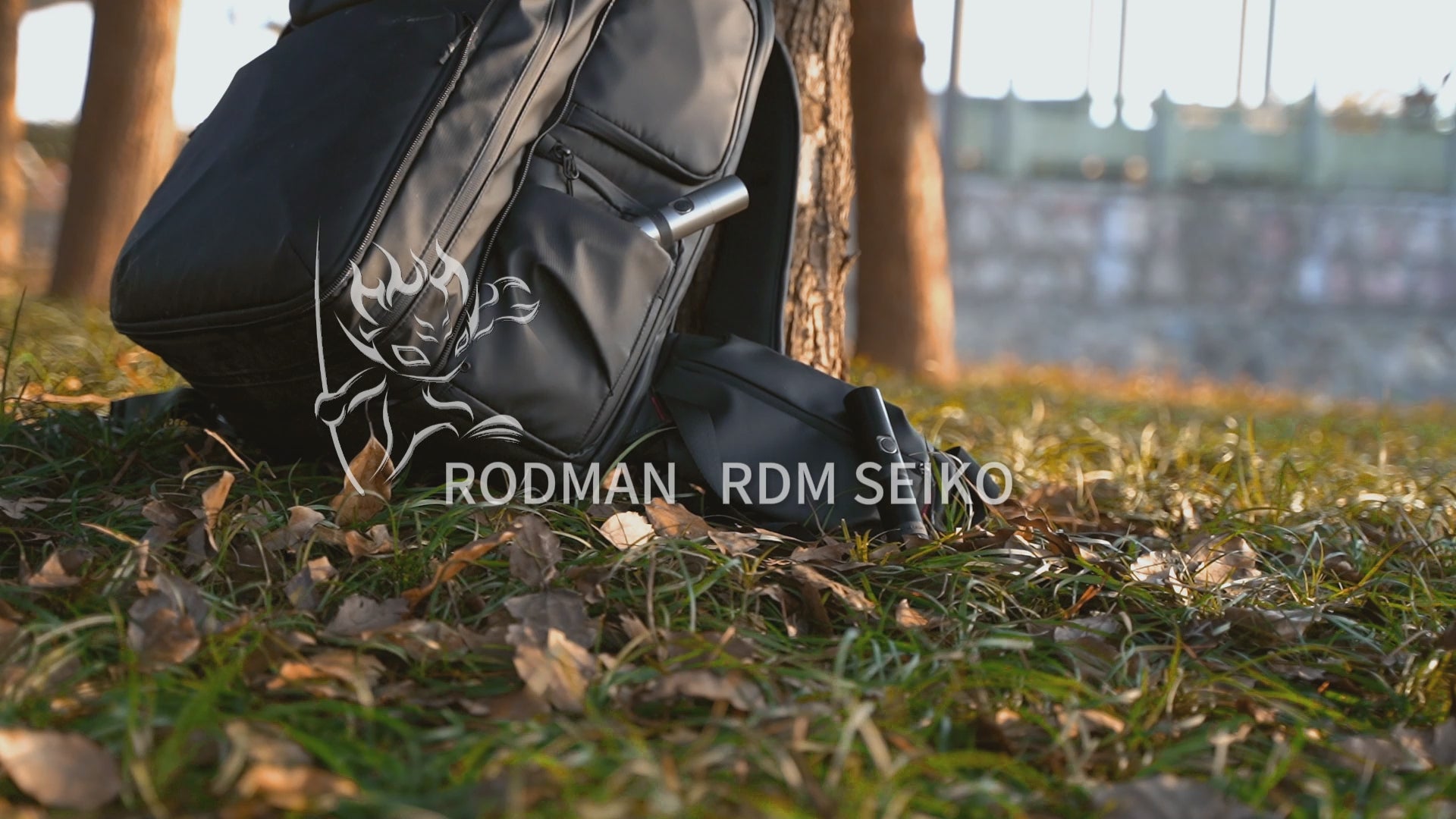 Load video: 